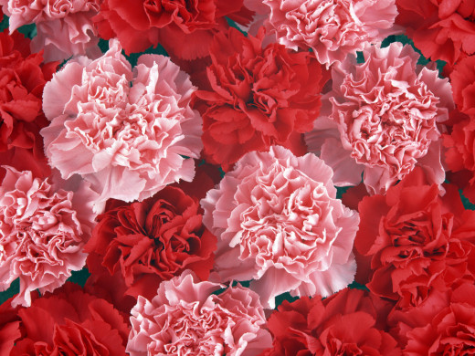 424841 (a): :1600x1200